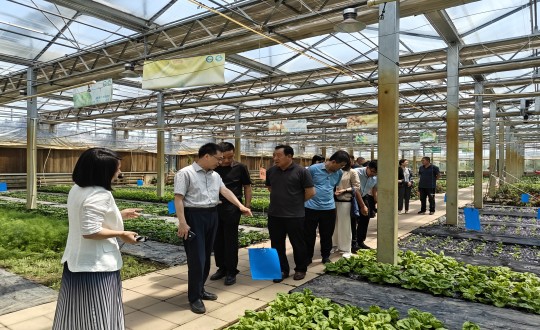 2024年6月27日，中国绿色食品发展中心有关辅导莅临农业总公司调查调研_副本.jpg